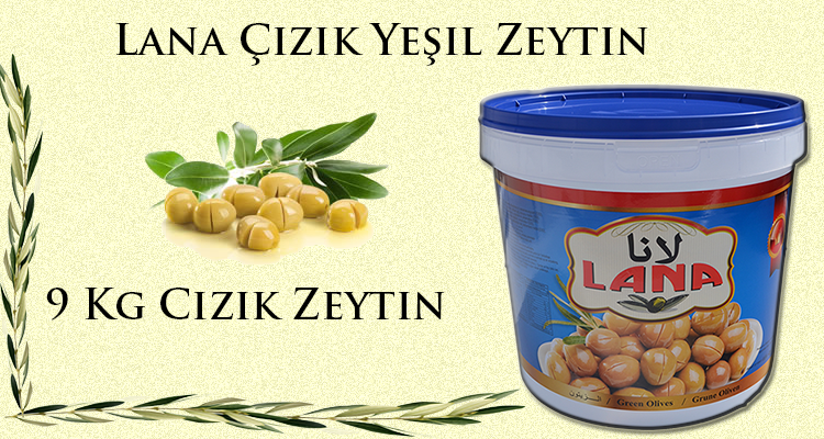 Lana çizik zeytin